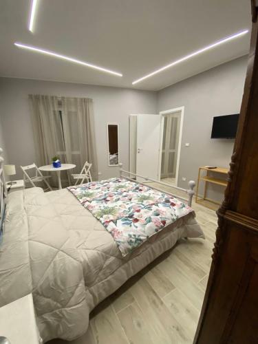 a bedroom with a large bed in a room at La Casa nel Vicolo Camera 3 in Casale Monferrato