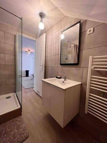 une salle de bain avec un lavabo, une douche et un miroir dans l'établissement Bol d’air, venez vous détendre !, à Montmagny