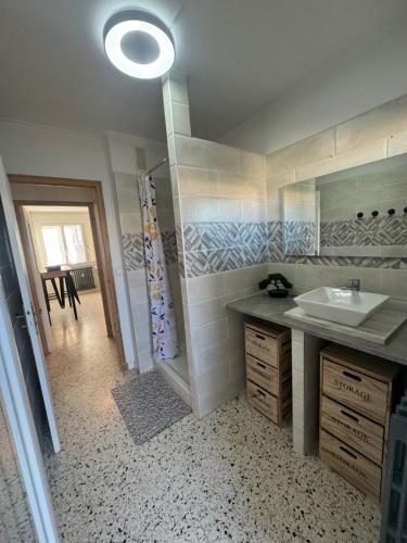 une salle de bain avec un lavabo et une douche dans l'établissement Appartement proche de la gare, à Alès