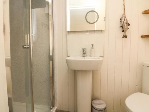 a bathroom with a sink and a shower at Langdale Lodge in Okehampton