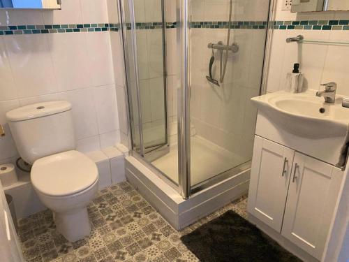 a bathroom with a toilet and a shower and a sink at Charming 2-Bed Apartment Free Parking in Wimbledon in London