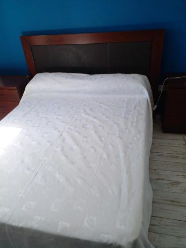 1 cama blanca en un dormitorio con una pared azul en La Delia en Gualeguaychú