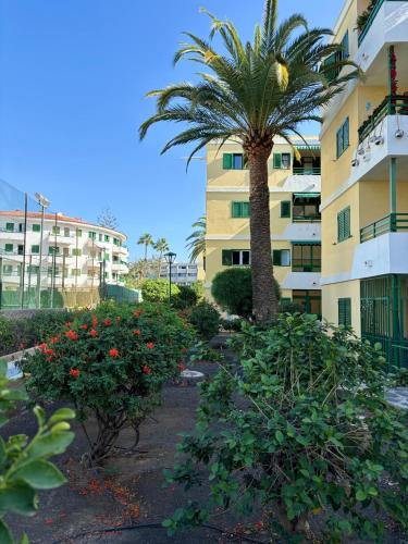 Las olas 214, centro de playa del inglés