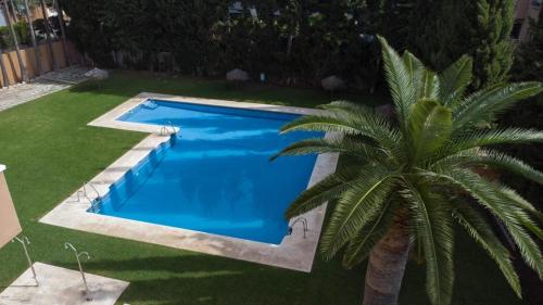 ein blauer Pool mit einer Palme daneben in der Unterkunft Fantastico Duplex Familiar Dunas Artola in Marbella