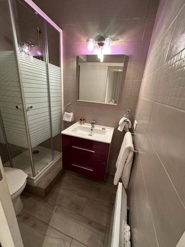 une salle de bain avec un lavabo, une douche et des toilettes dans l'établissement Appartement Rue d'Antibes, à Cannes