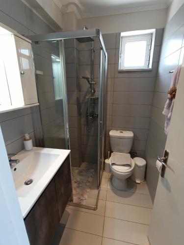 a bathroom with a shower and a toilet and a sink at G.S. Studio 1 in Mastichari