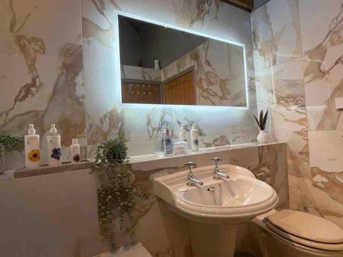 a bathroom with a sink and a toilet and a mirror at Luxury private FARM BARN, Airport, NEC 