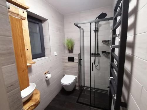 a bathroom with a toilet and a glass shower at Domek Zielony Widok - noclegi Bieszczady in Lesko