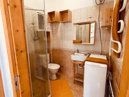 Chestnut Home - a charming and warm feel place في بودابست: حمام صغير مع مرحاض ومغسلة