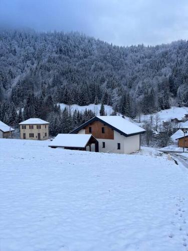 a snow covered field with houses and a mountain at Villa luxueuse avec sauna et jacuzzi in Bellevaux
