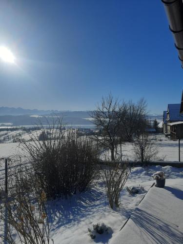un cortile coperto da neve con alberi e una casa di Jaki Widok! a Maniowy
