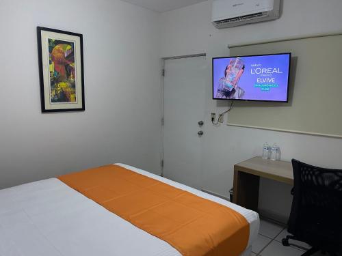Televisyen dan/atau pusat hiburan di HOTEL LAS PALMAS