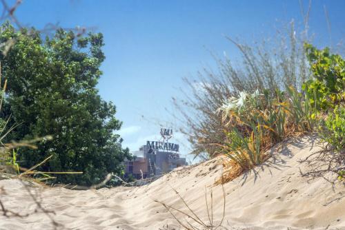 a sand hill with plants on top of it at Hotel Miramar Sozopol in Sozopol