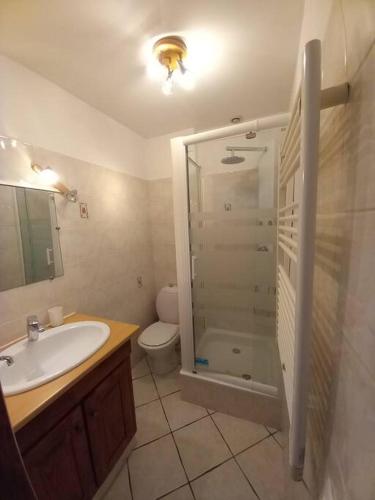 une salle de bain avec une douche, un lavabo et des toilettes dans l'établissement Gîte les petites bruyères, à Veneux-les-Sablons