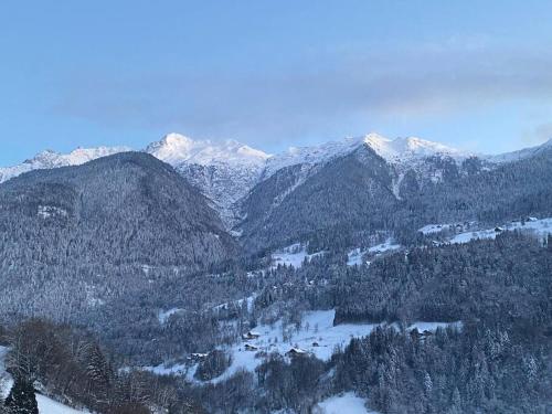 Appartement à Queige