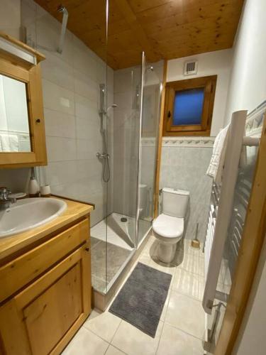 une salle de bain avec une douche, des toilettes et un lavabo dans l'établissement Appartement à Queige, à Queige