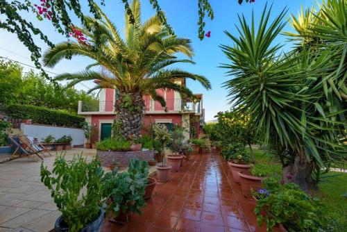 a courtyard with palm trees and plants in front of a building at N A P L house in Keramiaí