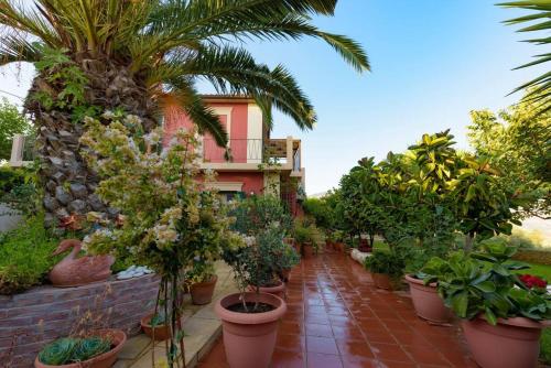 a row of potted plants in front of a building at N A P L house in Keramiaí