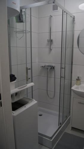 W łazience znajduje się prysznic i umywalka. w obiekcie Chemików Point by sleepwell w Nowym Dworze Mazowieckim