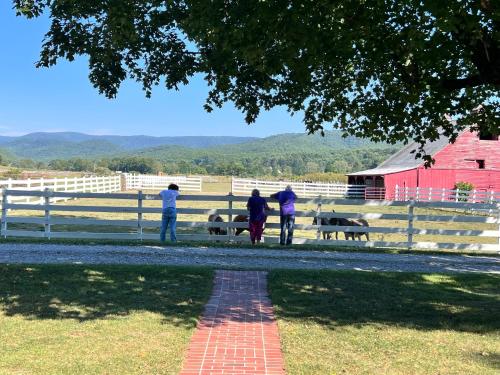 three people standing in front of a fence with cows at Mountain Quest Inn in Marlinton