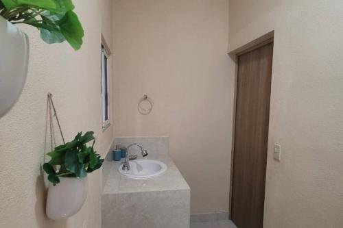 a bathroom with a sink and a potted plant at Casita Bambú cerca del aeropuerto SJD in San José del Cabo