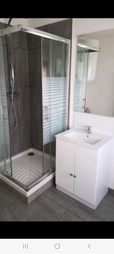 a bathroom with a shower and a sink and a mirror at Petite maisonnette in Pont-Sainte-Maxence