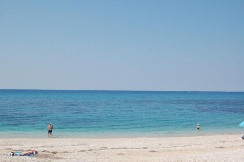 Φυσικό τοπίο κοντά σε αυτό το διαμέρισμα