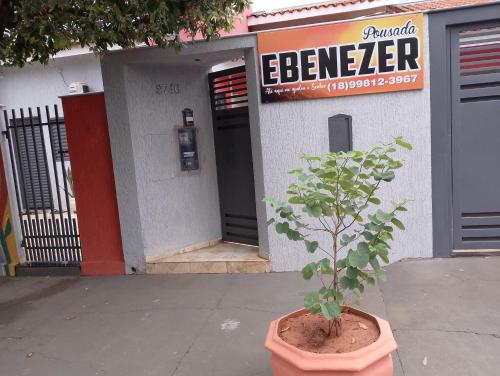 a plant in a pot in front of a building at Pousada Ebenezer in Andradina