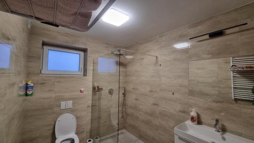 a bathroom with a shower and a toilet and a sink at Gronowe Wzgórze in Wisła