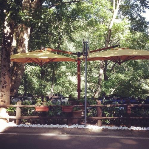 a patio with umbrellas next to a wooden fence at Locanda Dei Baroni - Antica Dimora in Camaldoli