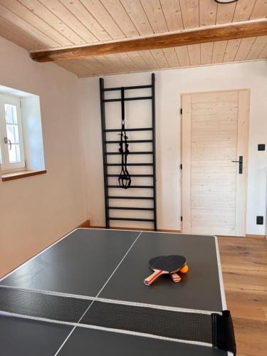 a ping pong table in a room with a ping paddle at Antoniwald82 Josefův Důl in Josefuv dul