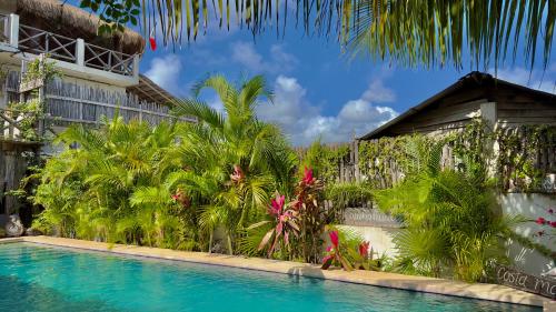 a swimming pool in front of a house with palm trees at Hotel Jaiba Mahahual - Adults Only in Mahahual