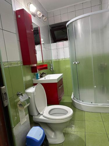 a bathroom with a toilet and a shower and a sink at LukApartaments in Tulcea