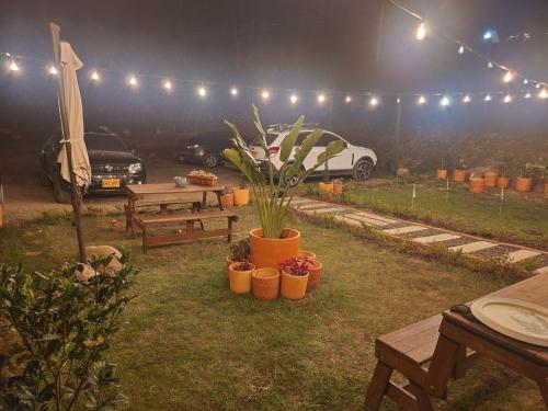 a parking lot with tables and potted plants and lights at Hotel Ficus Villa de Leyva in Villa de Leyva