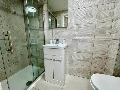 uma casa de banho com um WC, um lavatório e um chuveiro em Stylish one bedroom & a sofa bed em Cardiff