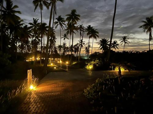 a pathway with palm trees and lights at night at Apartamento Reserva Imbassaí in Imbassai