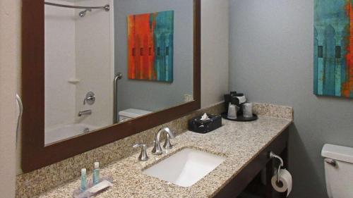 a bathroom with a sink and a large mirror at MainStay Suites MSP Airport - Mall of America in Bloomington