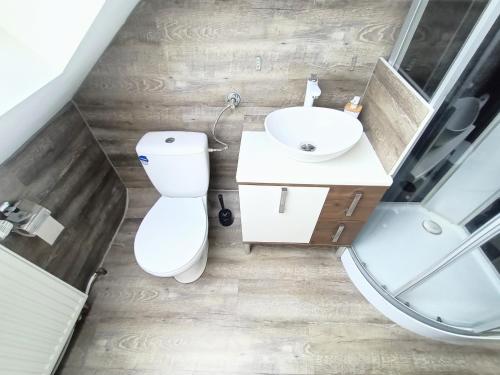 a bathroom with a toilet and a sink at FMI9Accomation Raunheim in Raunheim