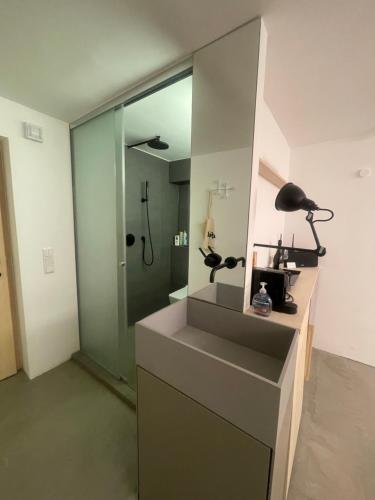 ein Bad mit einem Waschbecken und einer Dusche mit einem Spiegel in der Unterkunft The Nano Pad - small, smart, central in Köln