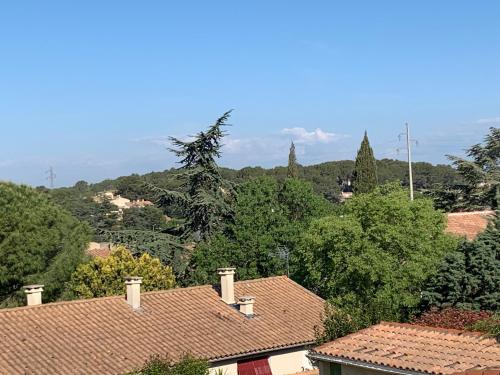 Příroda nedaleko apartmánu