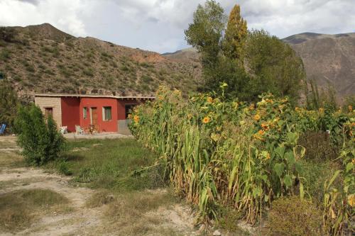 a house in the middle of a field of flowers at Macondo - Casas entre cerros in Tilcara