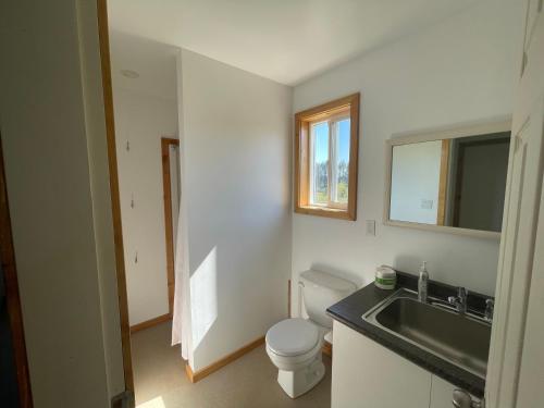 łazienka z toaletą i umywalką w obiekcie Tiny house & Sauna on Lakefront Farm Oasis w mieście Merville