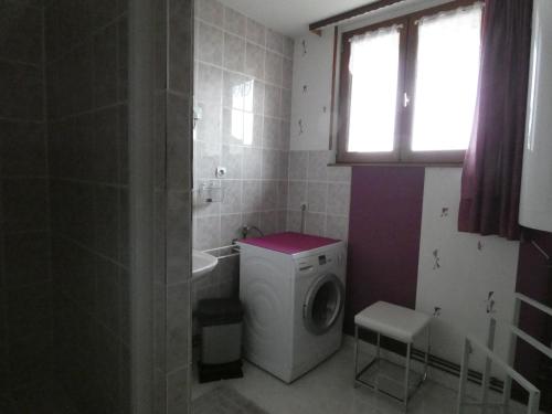 ein Badezimmer mit einer Waschmaschine und einem Waschbecken in der Unterkunft Gîte Saulmory-Villefranche, 4 pièces, 6 personnes - FR-1-585-15 