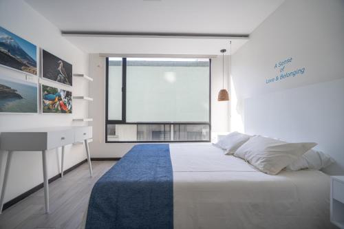 Schlafzimmer mit einem Bett, einem Schreibtisch und einem Fenster in der Unterkunft Sensación de Amor y Pertenencia: para Recordar in Quito