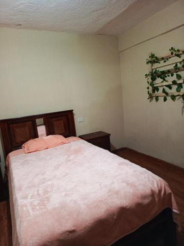 1 dormitorio con 1 cama con manta rosa en Centric Room, en Riobamba