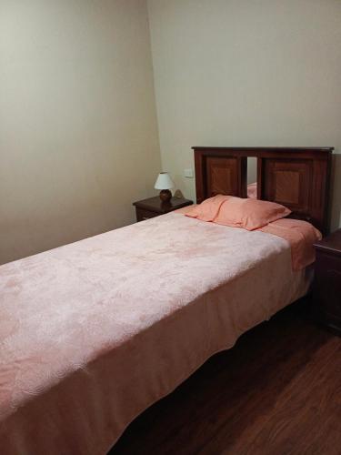1 dormitorio con 1 cama grande con almohada naranja en Centric Room, en Riobamba
