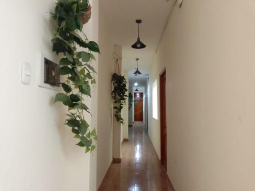 a hallway with white walls and a plant on the wall at Gran Imperial Avenida in Tumbes