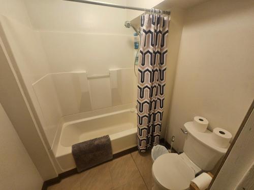 a bathroom with a toilet and a shower curtain at Downtown Aurora house #1 in Fairbanks