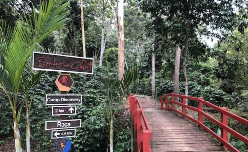 een rode brug met borden in een bos bij Spirit Mountain Coffee in Manabao