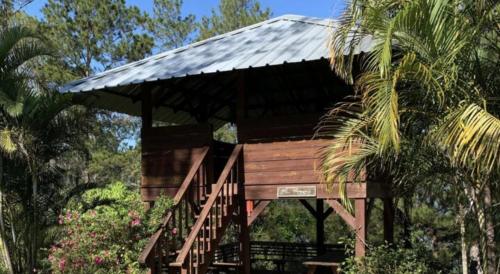 ein Baumhaus mit einer Treppe und einem Dach in der Unterkunft Spirit Mountain Coffee in Manabao